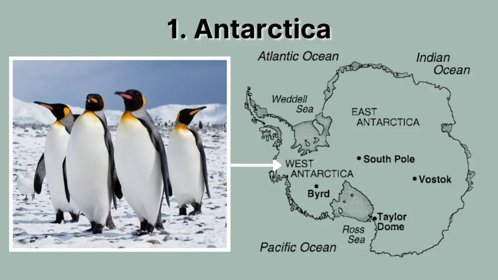 1. Antarctica