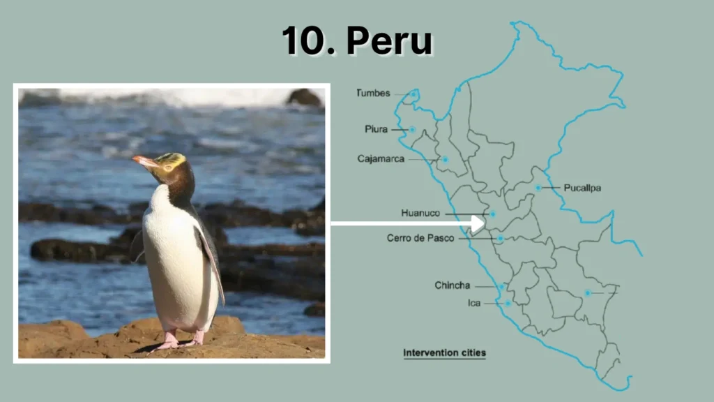 10. Peru
