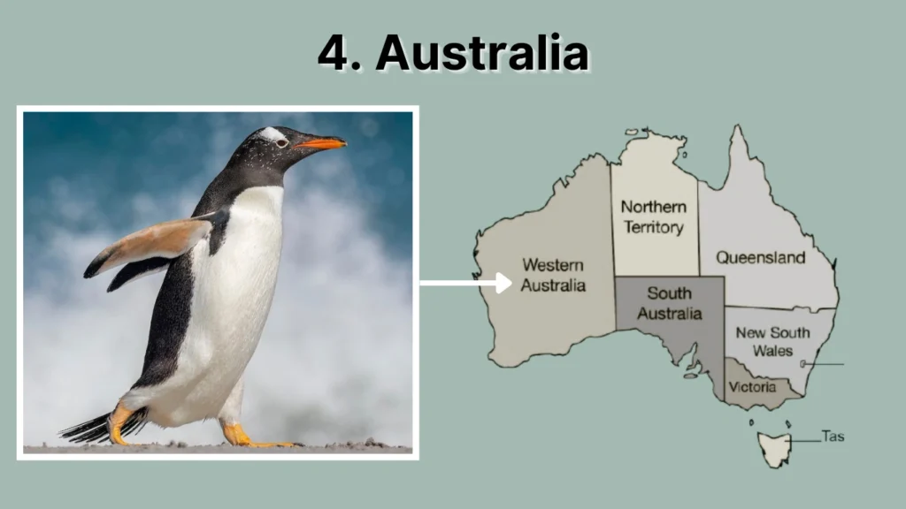 4. Australia