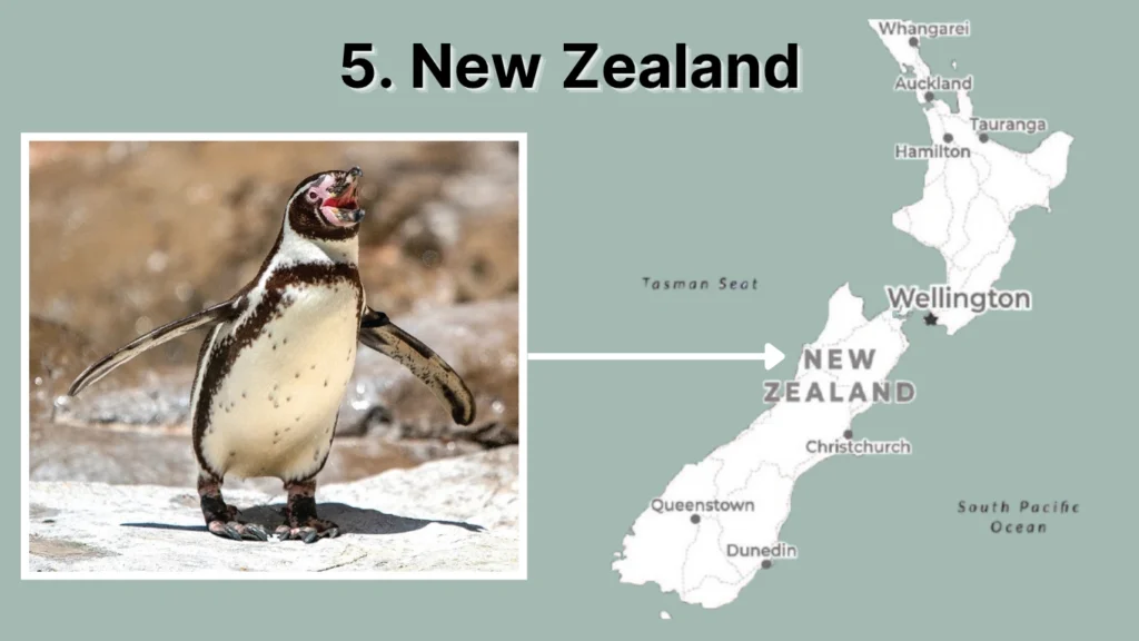 5. New Zealand