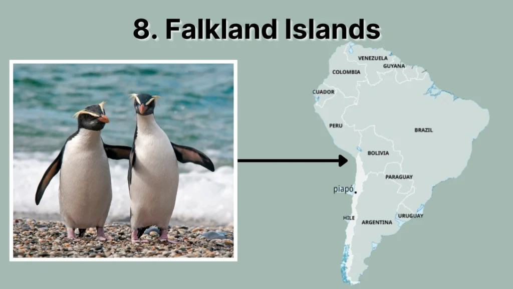 8. Falkland Islands