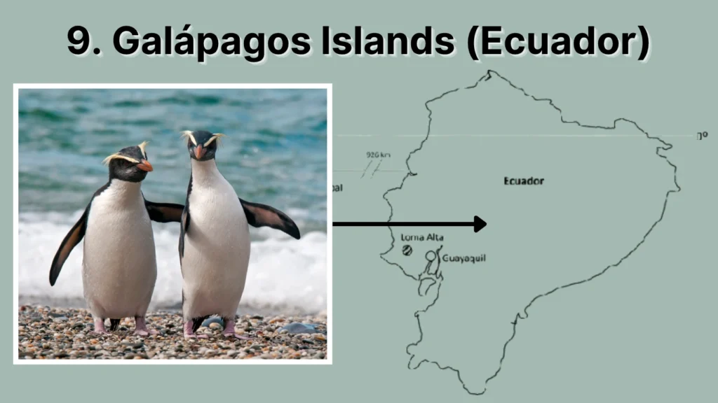 9. Galápagos Islands (Ecuador)