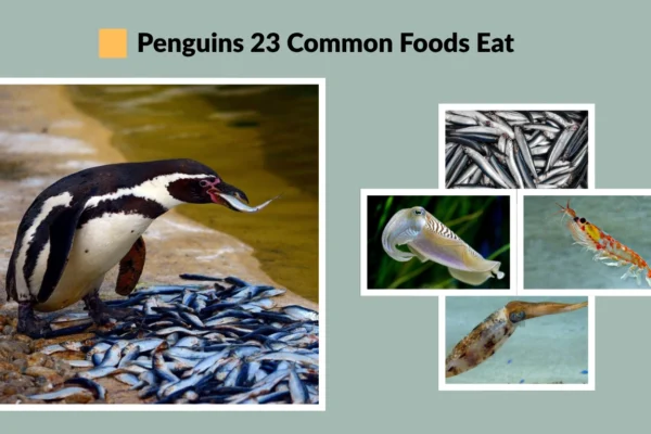 What Do Penguins Eat? 23 Common Foods They Love in the Wild