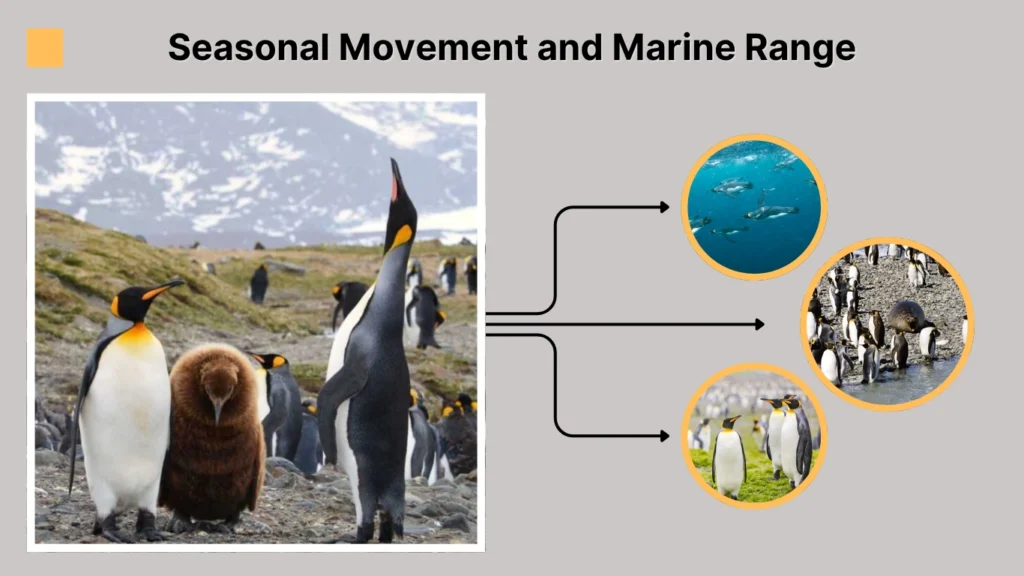 Seasonal Movement and Marine Range