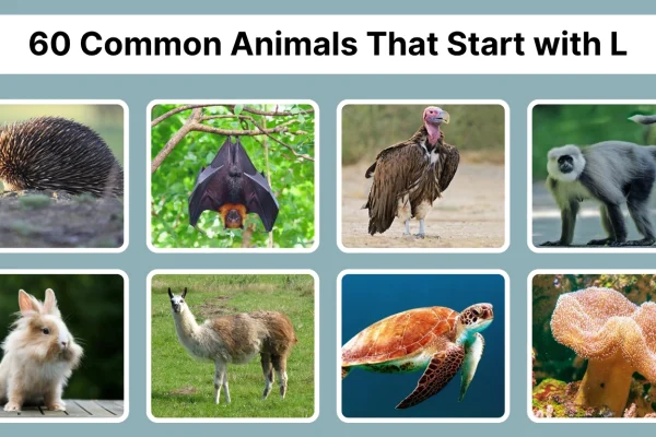 60 Common Animals That Start with L Identification with Pictures