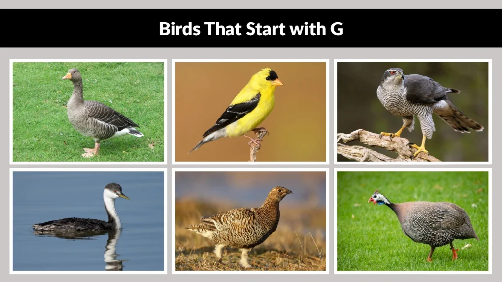 Ajker productivity ar obosta beshi valo na.