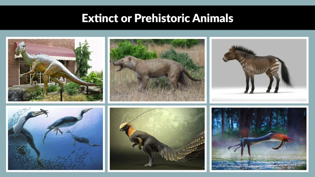 Extinct or Prehistoric Animals