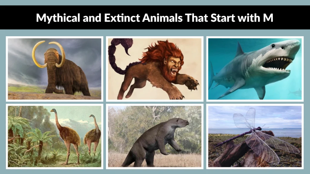 Mythical and Extinct Animals That Start with M
