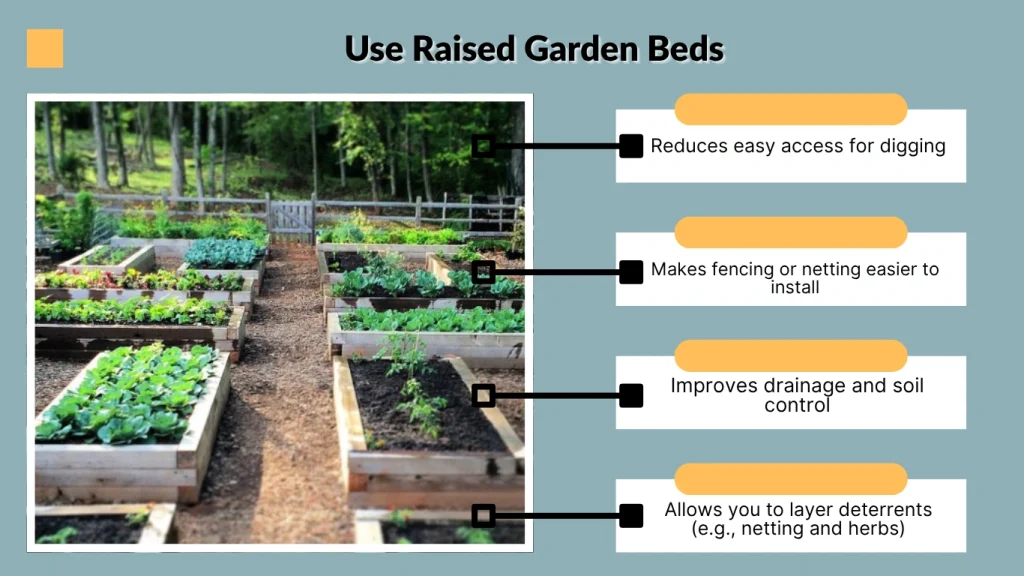 Use Raised Garden Beds