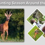 Deer Hunting Season Around the World US, UK, Australia & More