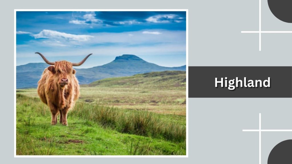 Highland