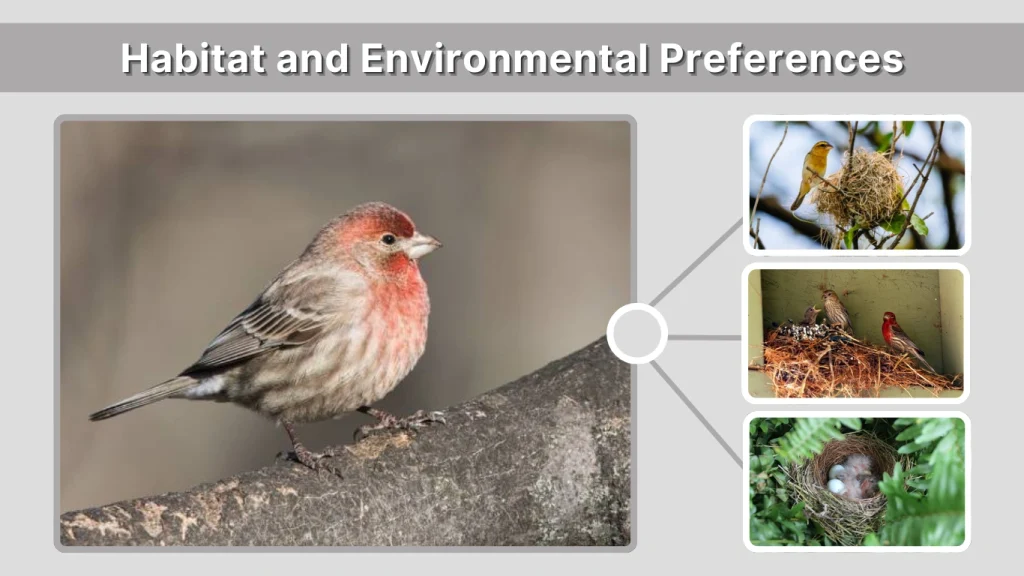 Habitat and Environmental Preferences