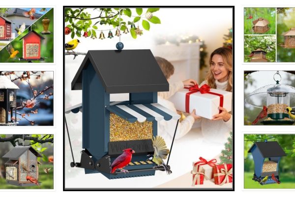 12 Best Bird Feeders for Outdoors Hanging: Review in 2026