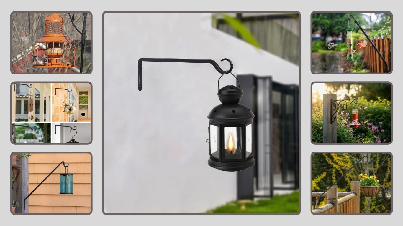 14 Best Bird Feeder Hangers: In-Depth Reviews for 2026