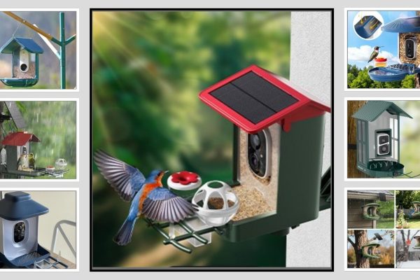 9 Smart Bird Feeder with Camera Solar Powered: Review in 2026