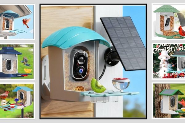 8 Best Bird Feeder Camera Wireless Outdoor: Review in 2026