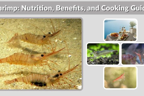 Shrimp: Nutrition, Benefits, and Cooking Guide