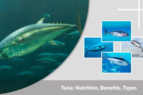 Tuna: Nutrition, Benefits, Types, and Safe Consumption Guide
