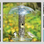 10 Best Bird Feeder Covers for Rain That Actually Work