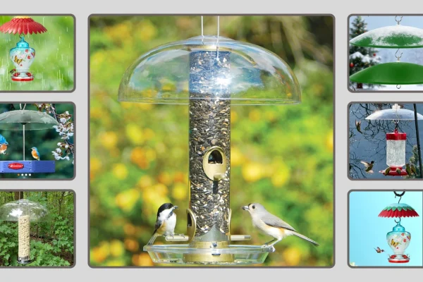 10 Best Bird Feeder Covers for Rain That Actually Work