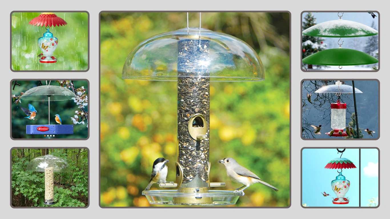 10 Best Bird Feeder Covers for Rain That Actually Work