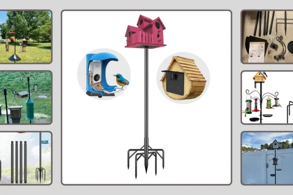 10 Best Bird Feeder Poles Reviews in 2026