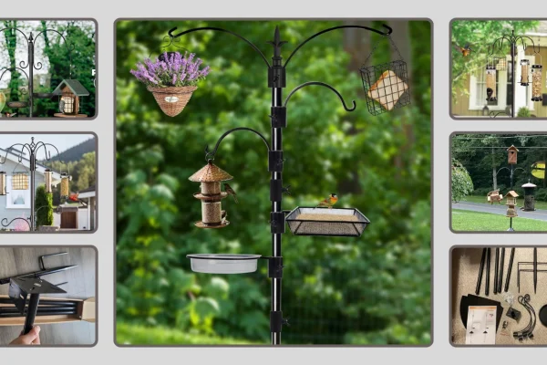 10 Best Bird Feeders Hanging Station Reviews for 2026