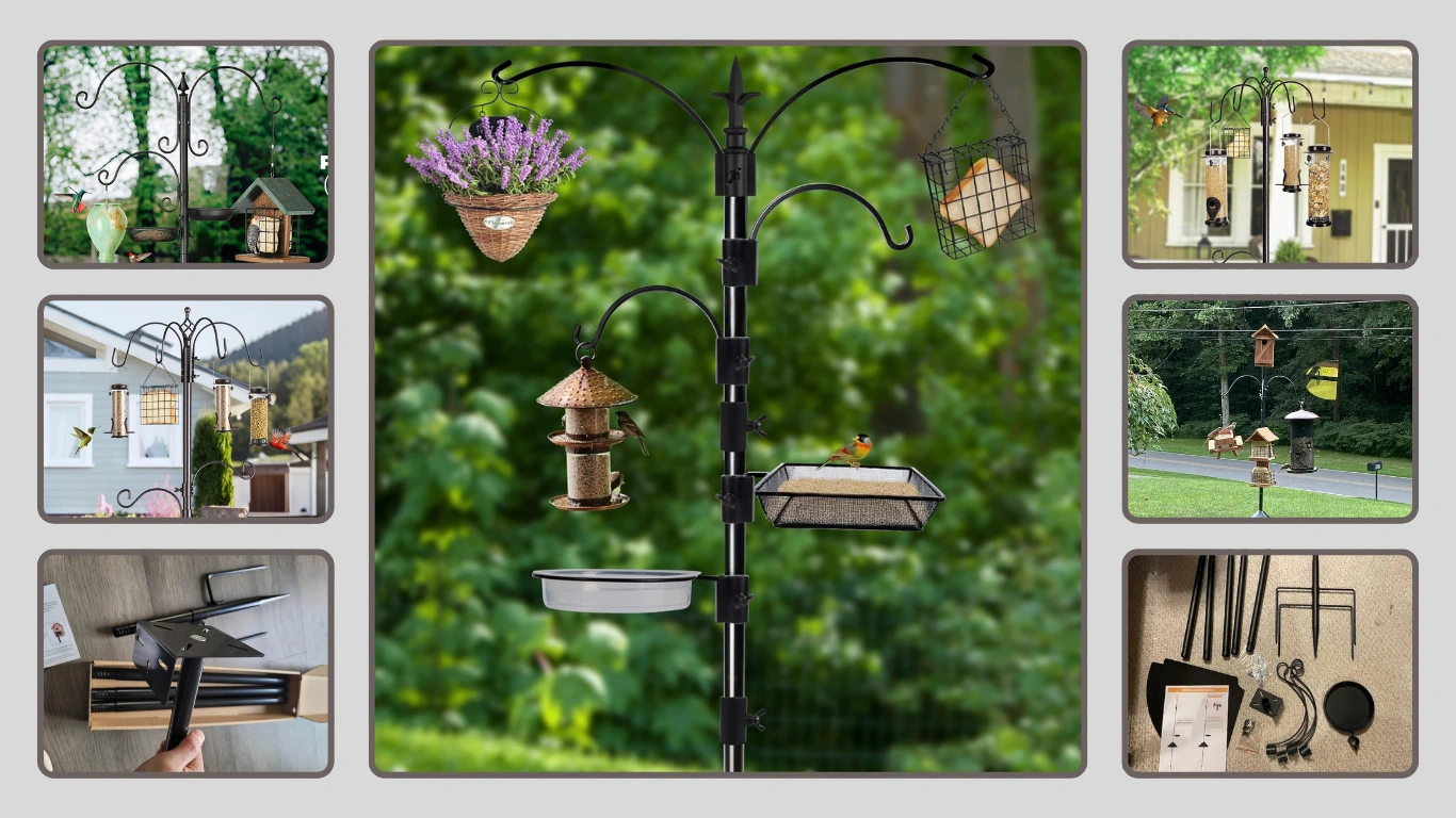 10 Best Bird Feeders Hanging Station Reviews for 2026