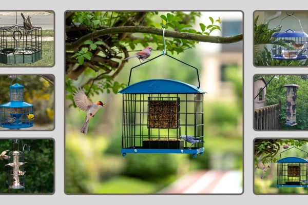 10 Best Bird Feeders for Small Birds Only