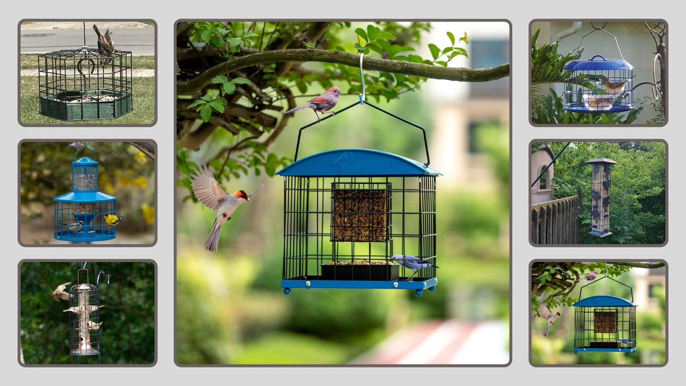 10 Best Bird Feeders for Small Birds Only