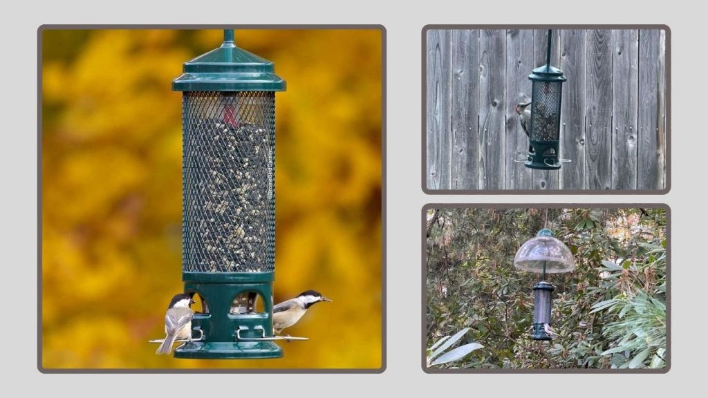 Squirrel Buster Legacy Bird Feeder