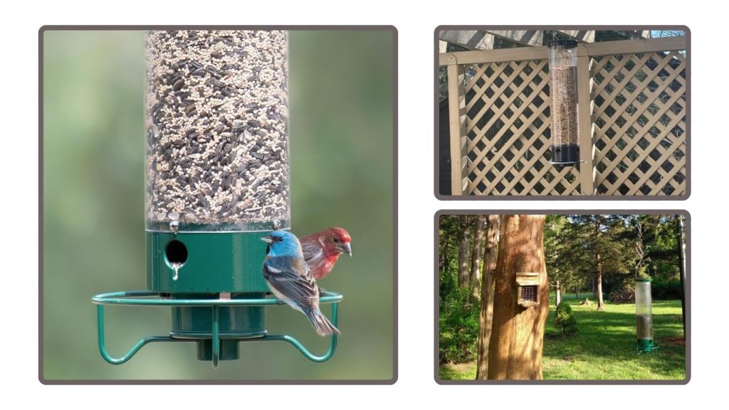 Droll Yankees Flipper Squirrel-Proof Bird Feeder