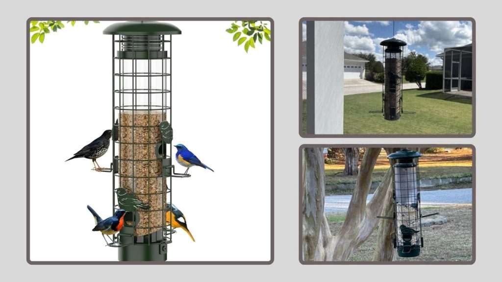 Squirrel-Proof Feeder for Cardinals & Chickadees
