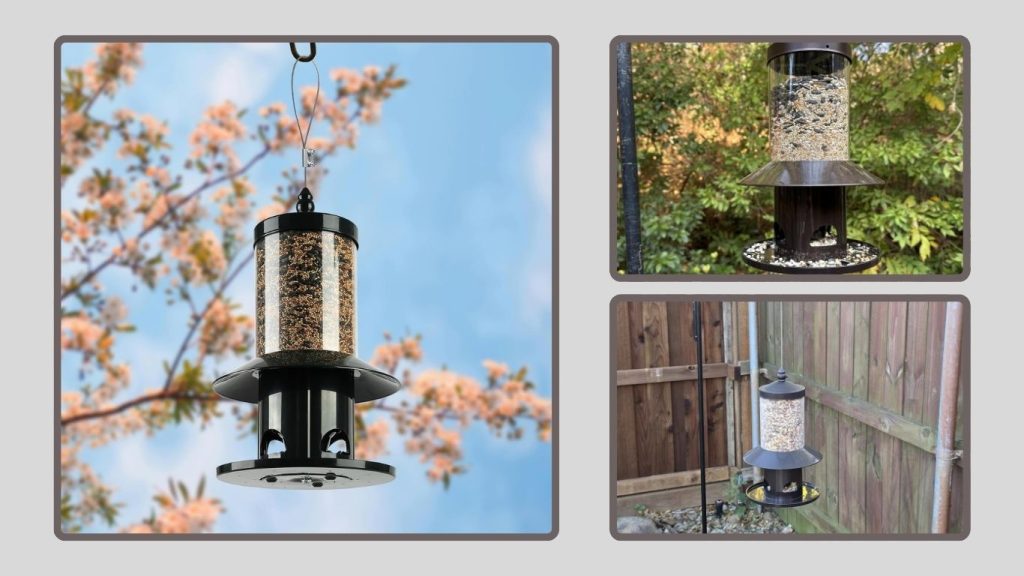  Squirrel-Proof Bird Feeder (Feeding Design)