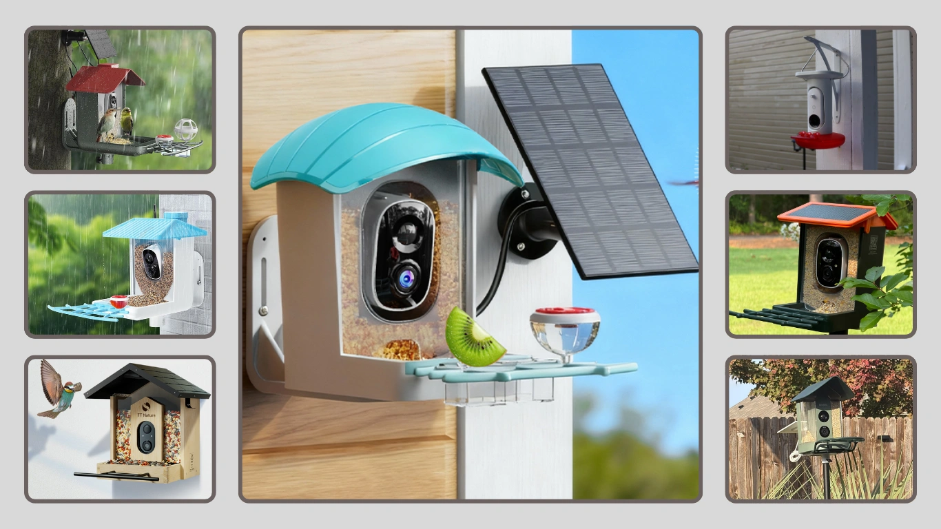 13 Best Bird Buddy Feeder With Camera Review in 2026