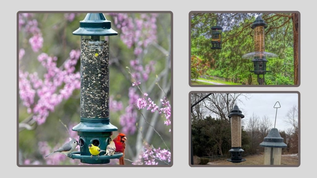Classic 5.1-lb Squirrel-Proof Bird Feeder (Adjustable/Pole Mountable)