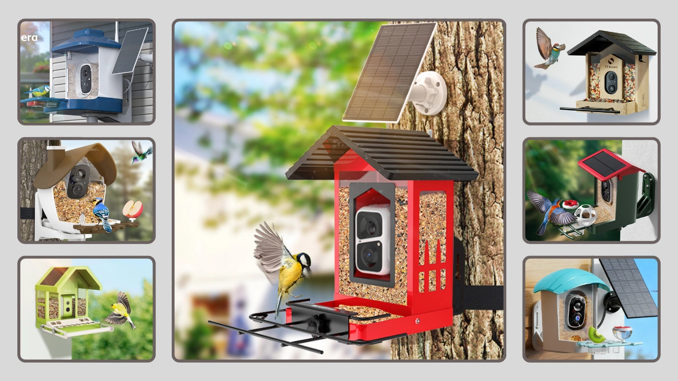 15 Best Bird Feeders With Camera Review in 2026