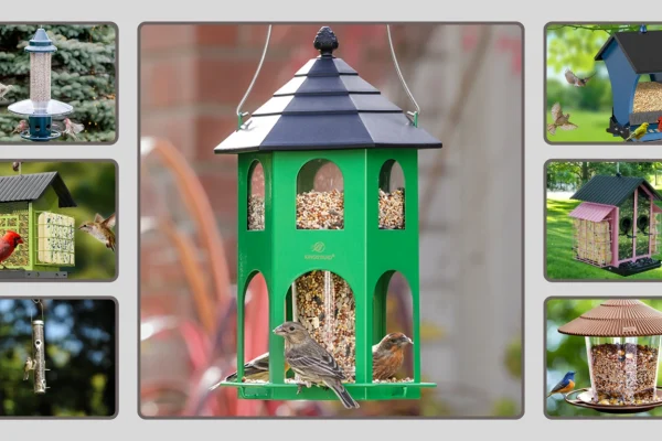 15 Best Bird Feeders for Outdoors Reviews & Top Picks for 2026