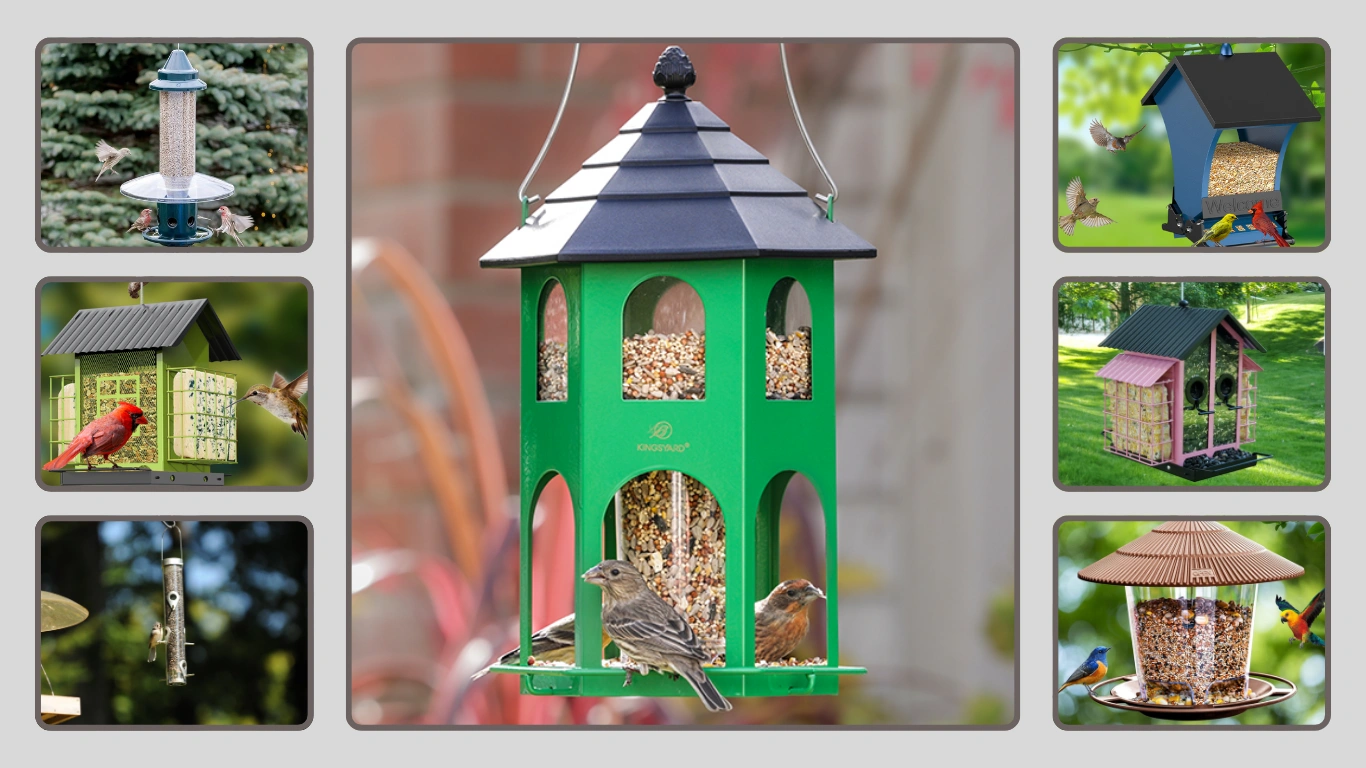15 Best Bird Feeders for Outdoors Reviews & Top Picks for 2026