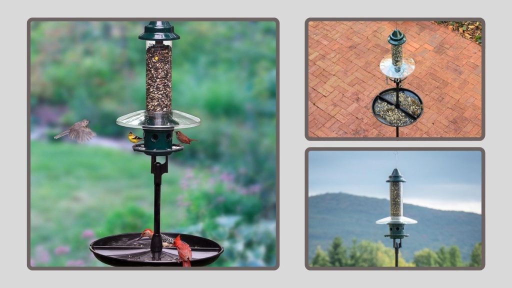 Ultimate Squirrel-Proof Feeding Station