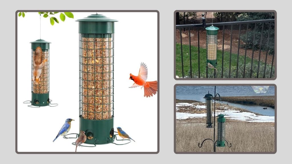 DSUMD Squirrel-Proof Bird Feeder
