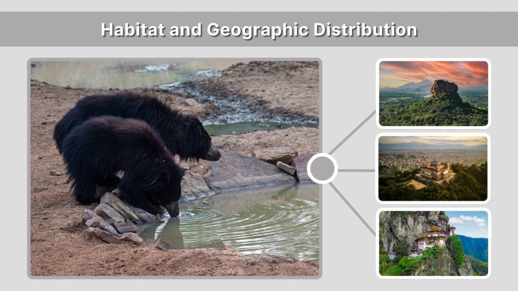 Habitat and Geographic Distribution