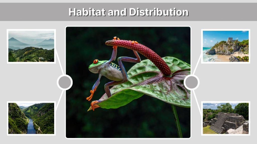Habitat and Distribution