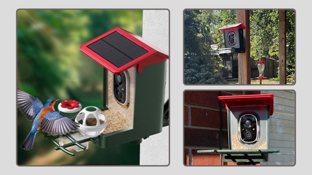 Smart Bird Feeder Camera with AI Recognition (Model B0DSDFV4Z2)