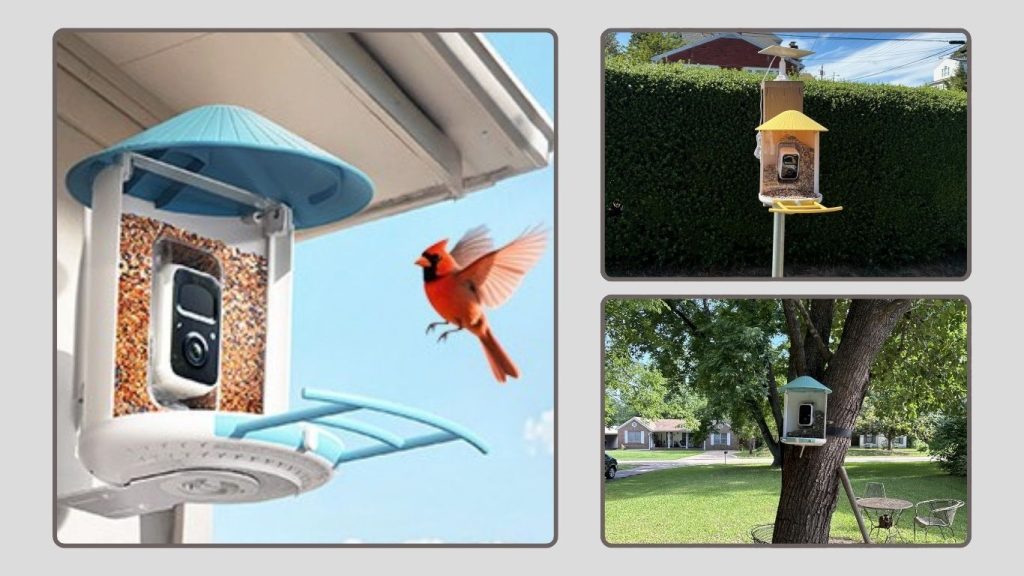 NETVUE by Birdfy Smart Bird Feeder with 2K AI Camera