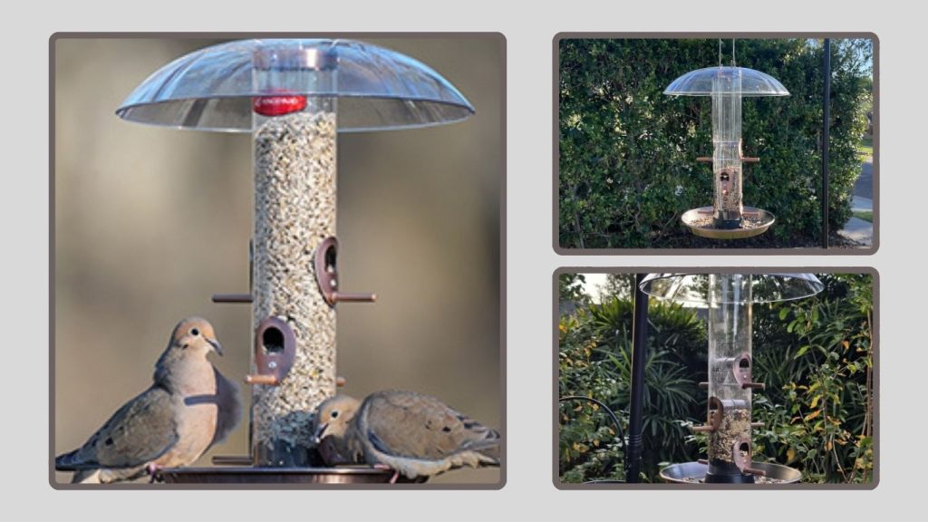 Kingsyard Outdoors Protective Bird Feeder