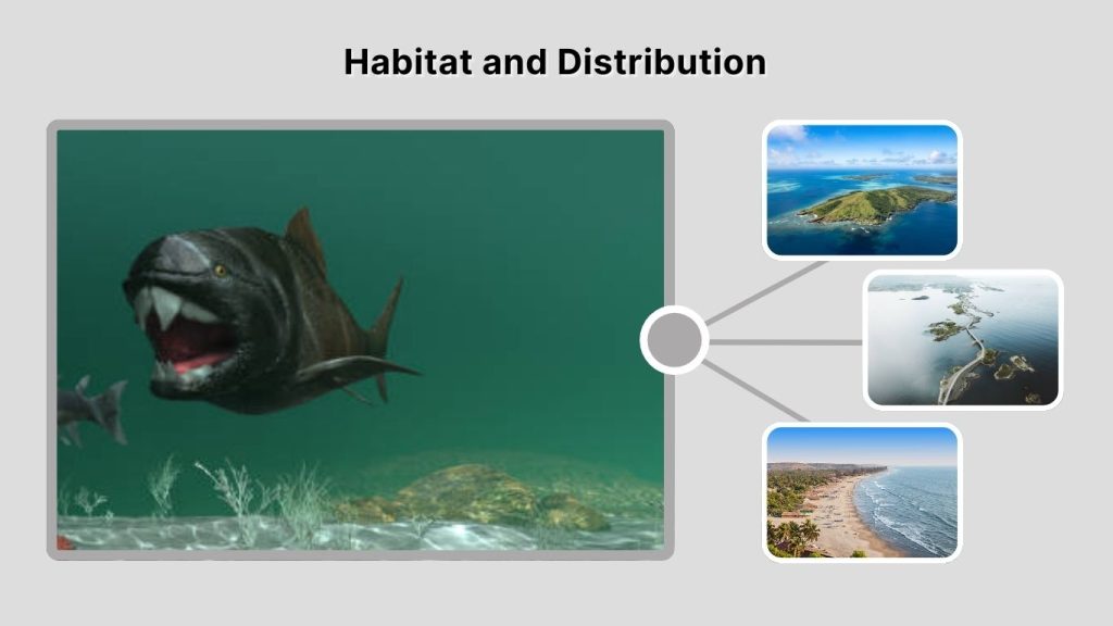 Habitat and Distribution