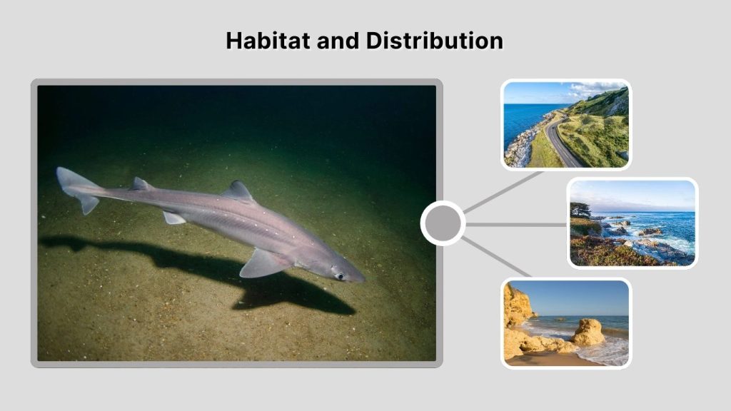 Habitat and Distribution