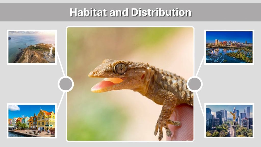 Habitat and Distribution