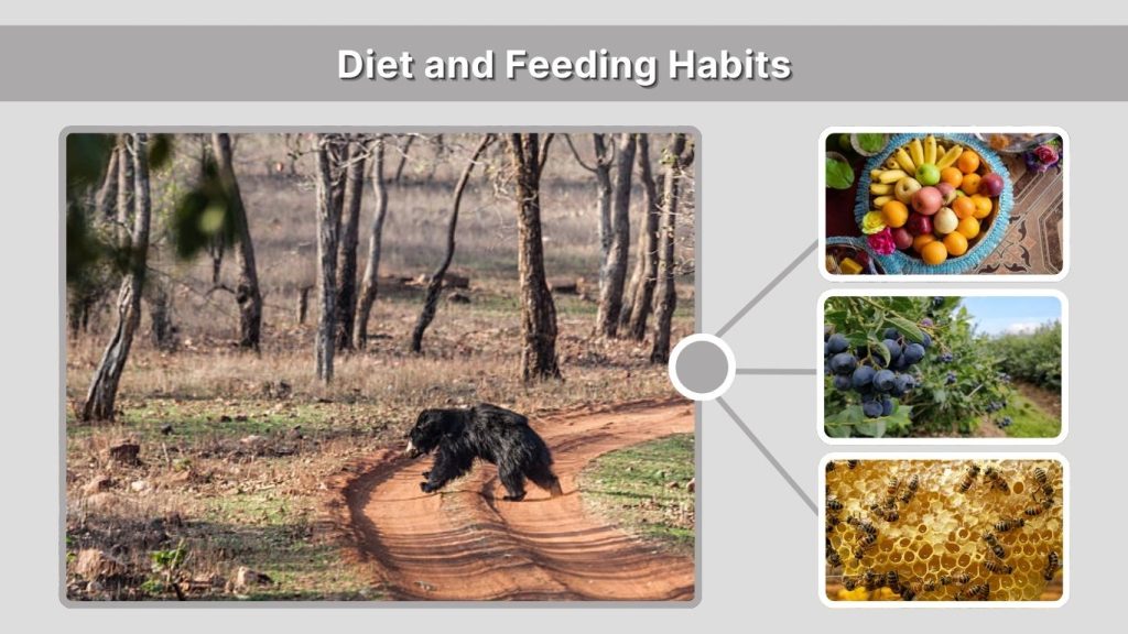 Diet and Feeding Habits